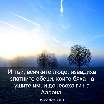 Picture 03 - Изход 32:3 BULG - И тъй, всичките люде, - Bible Verse Picture