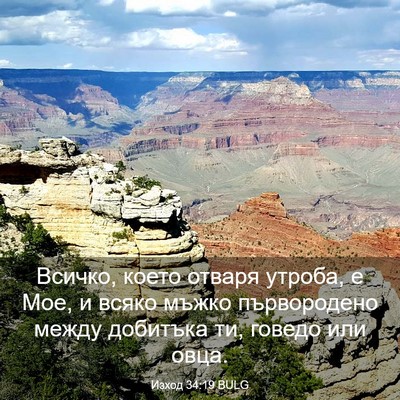 Picture 03 - Изход 34:19 BULG - Всичко, което отваря - Bible Verse Picture
