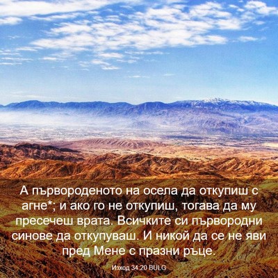 Picture 03 - Изход 34:20 BULG - А първороденото на осела - Bible Verse Picture