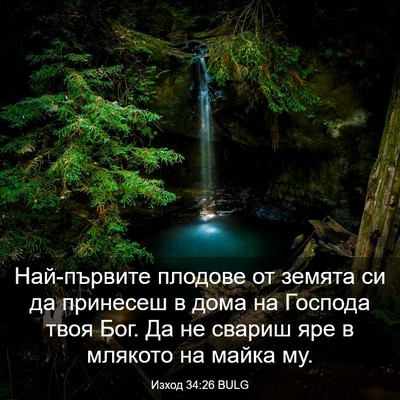 Picture 03 - Изход 34:26 BULG - Най-първите плодове от - Bible Verse Picture