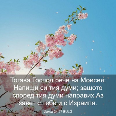 Picture 03 - Изход 34:27 BULG - Тогава Господ рече на - Bible Verse Picture