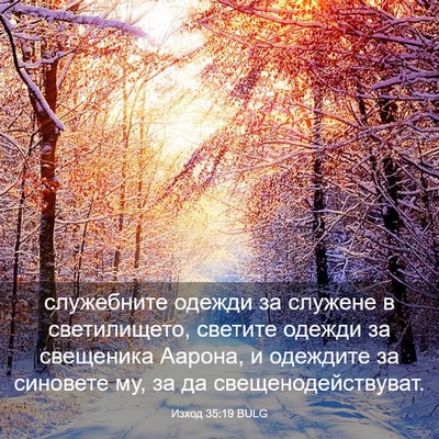 Picture 03 - Изход 35:19 BULG - служебните одежди за - Bible Verse Picture