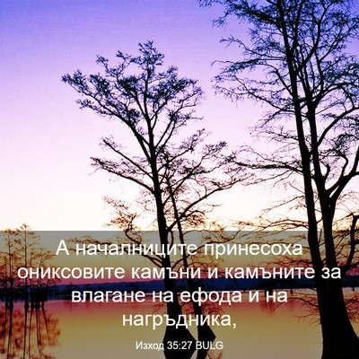 Picture 03 - Изход 35:27 BULG - А началниците принесоха - Bible Verse Picture