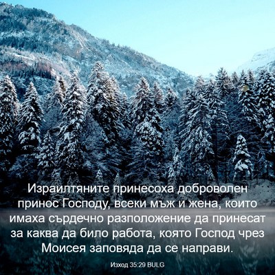 Picture 03 - Изход 35:29 BULG - Израилтяните принесоха - Bible Verse Picture