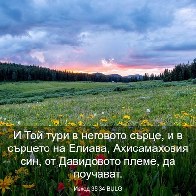 Picture 03 - Изход 35:34 BULG - И Той тури в неговото - Bible Verse Picture