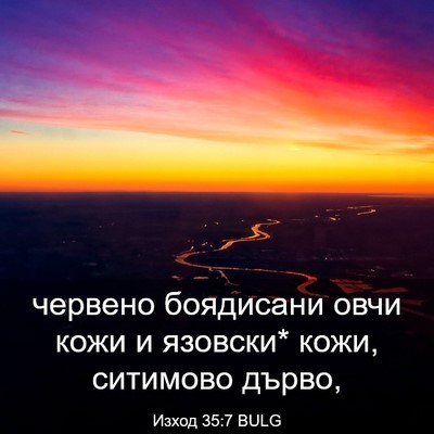Picture 03 - Изход 35:7 BULG - червено боядисани овчи - Bible Verse Picture