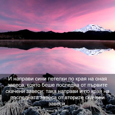 Picture 03 - Изход 36:11 BULG - И направи сини петелки по - Bible Verse Picture