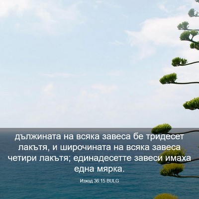 Picture 03 - Изход 36:15 BULG - дължината на всяка завеса - Bible Verse Picture