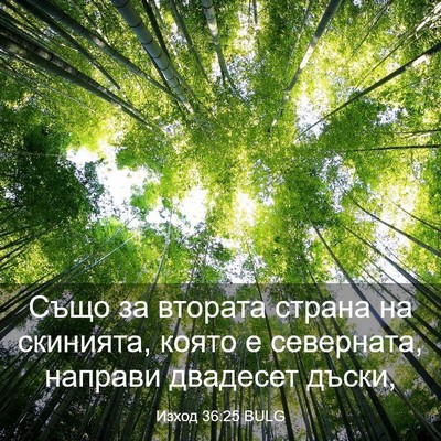 Picture 03 - Изход 36:25 BULG - Също за втората страна на - Bible Verse Picture