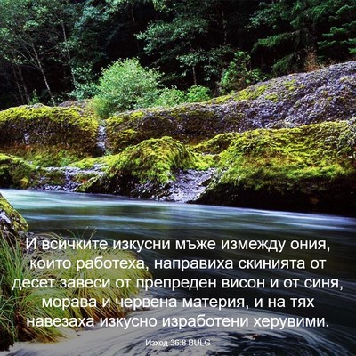 Picture 03 - Изход 36:8 BULG - И всичките изкусни мъже - Bible Verse Picture