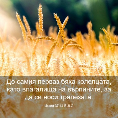 Picture 03 - Изход 37:14 BULG - До самия перваз бяха - Bible Verse Picture