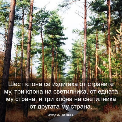 Picture 03 - Изход 37:18 BULG - Шест клона се издигаха от - Bible Verse Picture