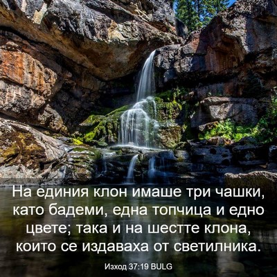 Picture 03 - Изход 37:19 BULG - На единия клон имаше три - Bible Verse Picture