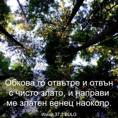 Picture 03 - Изход 37:2 BULG - Обкова го отвътре и отвън с - Bible Verse Picture