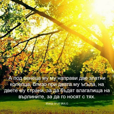Picture 03 - Изход 37:27 BULG - А под венеца му му направи - Bible Verse Picture