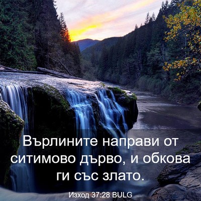 Picture 03 - Изход 37:28 BULG - Върлините направи от - Bible Verse Picture