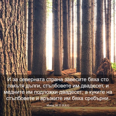 Picture 03 - Изход 38:11 BULG - И за северната страна - Bible Verse Picture