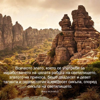 Picture 03 - Изход 38:24 BULG - Всичкото злато, което се - Bible Verse Picture