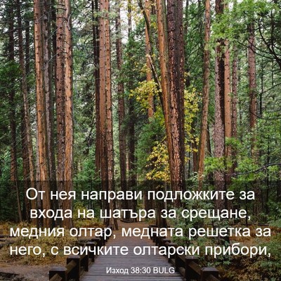 Picture 03 - Изход 38:30 BULG - От нея направи подложките - Bible Verse Picture