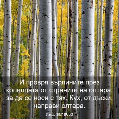 Picture 03 - Изход 38:7 BULG - И провря върлините през - Bible Verse Picture
