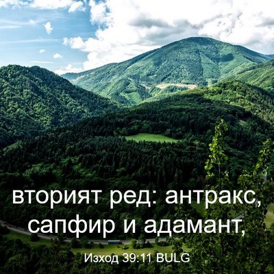 Picture 03 - Изход 39:11 BULG - вторият ред: антракс, - Bible Verse Picture