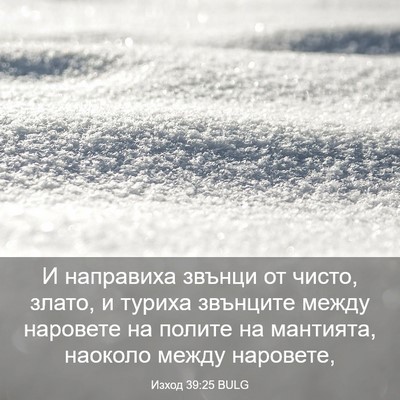Picture 03 - Изход 39:25 BULG - И направиха звънци от - Bible Verse Picture