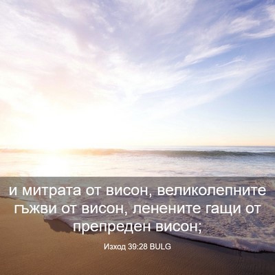 Picture 03 - Изход 39:28 BULG - и митрата от висон, - Bible Verse Picture