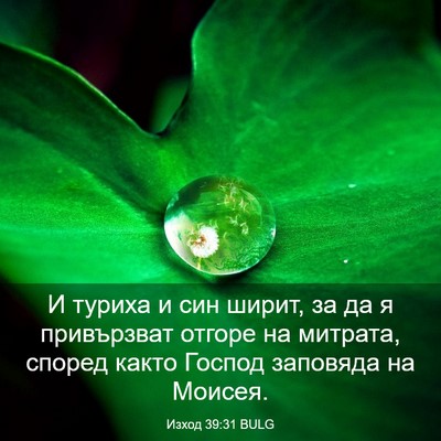 Picture 03 - Изход 39:31 BULG - И туриха и син ширит, за да - Bible Verse Picture