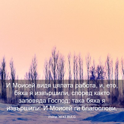 Picture 03 - Изход 39:43 BULG - И Моисей видя цялата - Bible Verse Picture