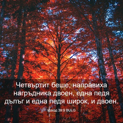 Picture 03 - Изход 39:9 BULG - Четвъртит беше; направиха - Bible Verse Picture