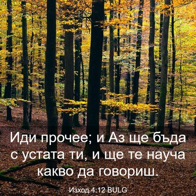 Picture 03 - Изход 4:12 BULG - Иди прочее; и Аз ще бъда с - Bible Verse Picture