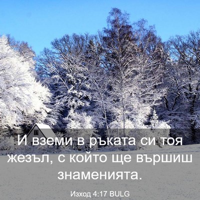 Picture 03 - Изход 4:17 BULG - И вземи в ръката си тоя - Bible Verse Picture