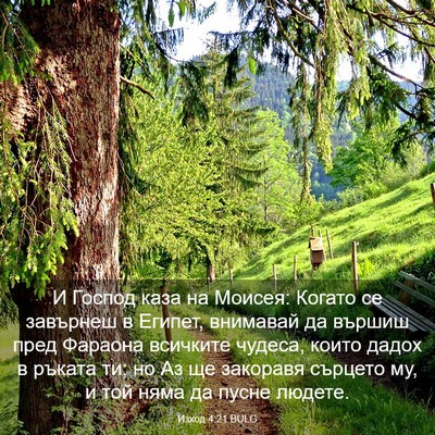 Picture 03 - Изход 4:21 BULG - И Господ каза на Моисея: - Bible Verse Picture