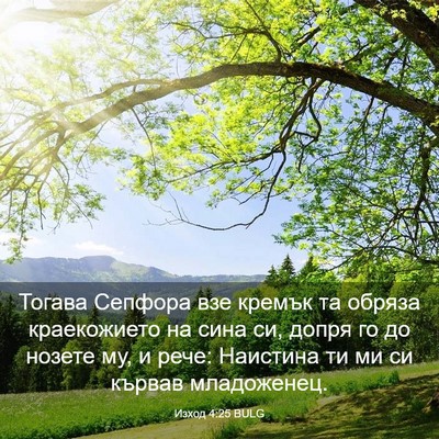 Picture 03 - Изход 4:25 BULG - Тогава Сепфора взе кремък - Bible Verse Picture