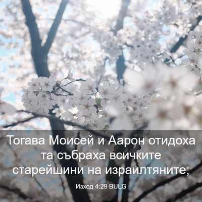 Picture 03 - Изход 4:29 BULG - Тогава Моисей и Аарон - Bible Verse Picture