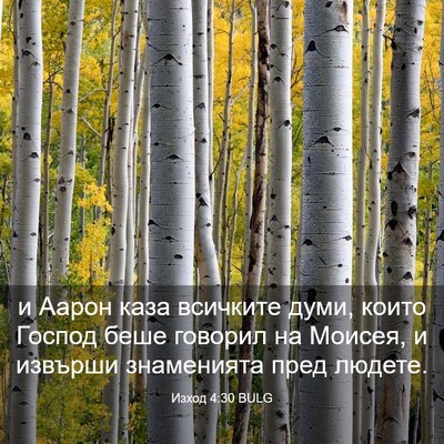 Picture 03 - Изход 4:30 BULG - и Аарон каза всичките думи, - Bible Verse Picture