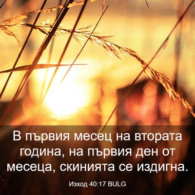 Picture 03 - Изход 40:17 BULG - В първия месец на втората - Bible Verse Picture