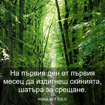Picture 03 - Изход 40:2 BULG - На първия ден от първия - Bible Verse Picture