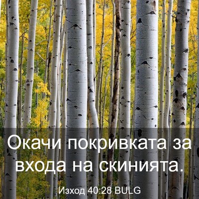 Picture 03 - Изход 40:28 BULG - Окачи покривката за входа - Bible Verse Picture