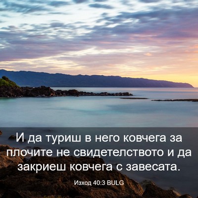 Picture 03 - Изход 40:3 BULG - И да туриш в него ковчега - Bible Verse Picture