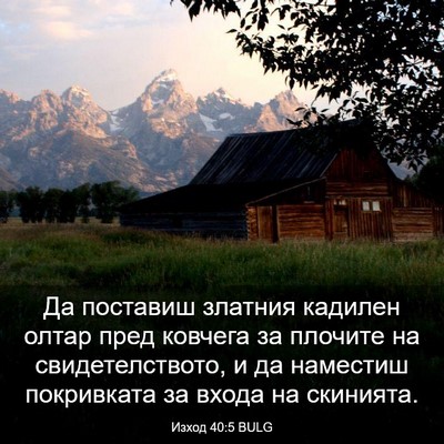 Picture 03 - Изход 40:5 BULG - Да поставиш златния - Bible Verse Picture