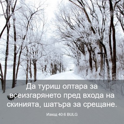 Picture 03 - Изход 40:6 BULG - Да туриш олтара за - Bible Verse Picture