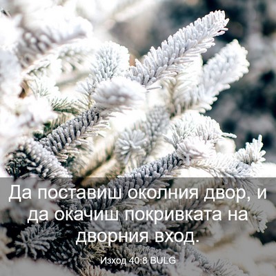 Picture 03 - Изход 40:8 BULG - Да поставиш околния двор, и - Bible Verse Picture