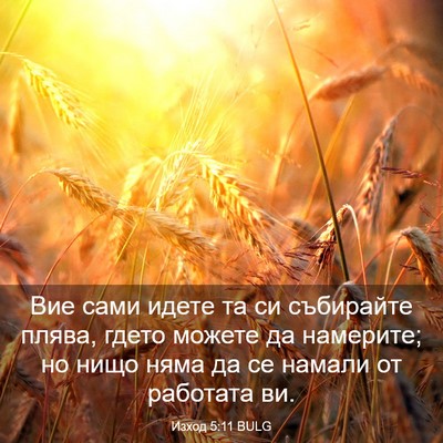 Picture 03 - Изход 5:11 BULG - Вие сами идете та си - Bible Verse Picture