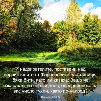 Picture 03 - Изход 5:14 BULG - И надзирателите, поставени - Bible Verse Picture