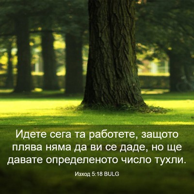 Picture 03 - Изход 5:18 BULG - Идете сега та работете, - Bible Verse Picture