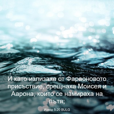 Picture 03 - Изход 5:20 BULG - И като излизаха от - Bible Verse Picture