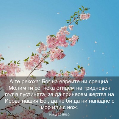 Picture 03 - Изход 5:3 BULG - А те рекоха: Бог на евреите - Bible Verse Picture