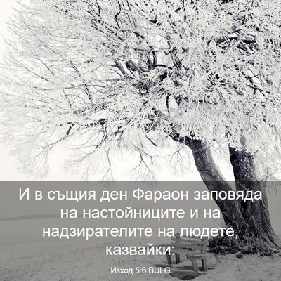 Picture 03 - Изход 5:6 BULG - И в същия ден Фараон - Bible Verse Picture