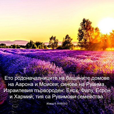 Picture 03 - Изход 6:14 BULG - Ето родоначалниците на - Bible Verse Picture